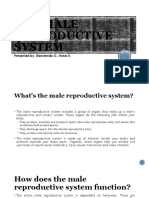 The Male Reproductive System: Presented By: Bienvenido G. Motas II