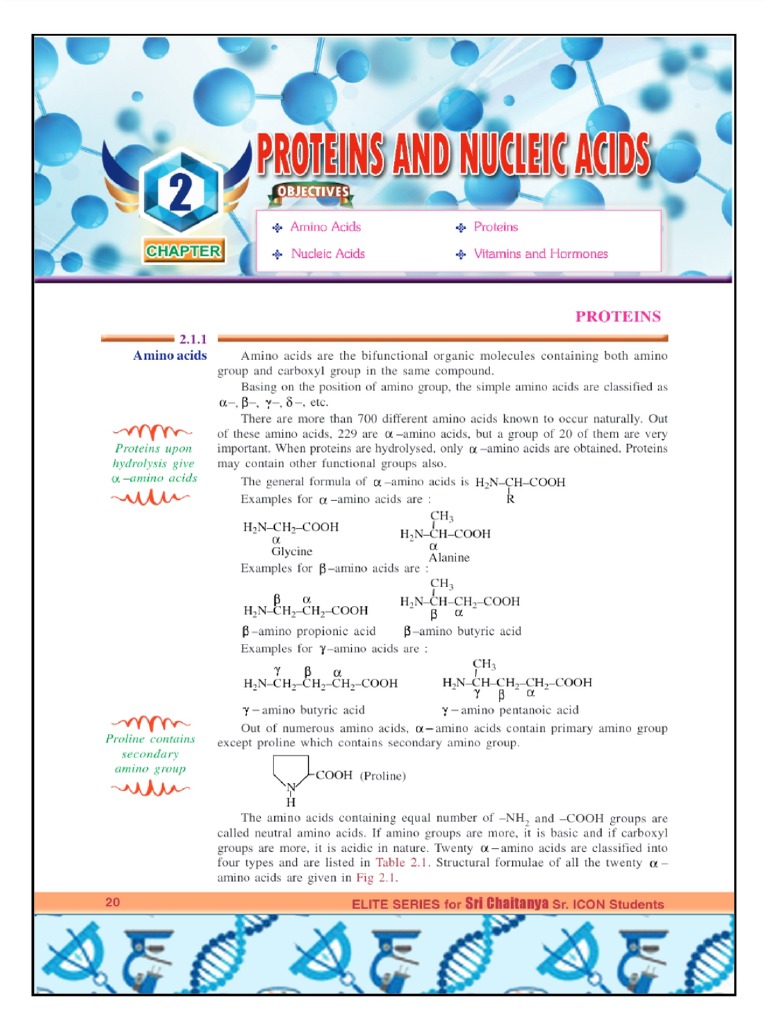 Proteins and Nucleic Acids PDF
