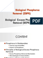 Enhanced Biological Phosphorus Removal (EBPR)