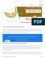 Cellular Respiration: What Is It, Its Purpose, and More (Osmosis)