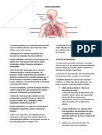 O sistema respiratório: estrutura, funções e defesa