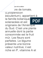 Plante Et Importance de La Culture