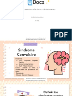 Sindrome Convulsivo 319438 Downloable 1976045