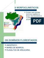 Domínios morfoclimáticos do Brasil