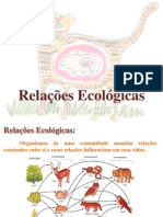 Relações Ecológicas - Aula 2