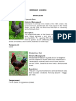 Breeds of Chickens