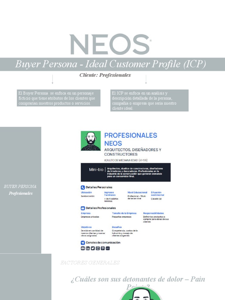 PROFESIONAL Buyer de Persona - Ideal Customer Profile | PDF | Cliente ...