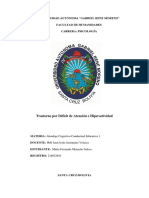 Monografia TDAH - Menacho Fernanda