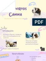 Parvovirosis Canina: Bruna Bassallo, Zayra Clemente, Alejandra Marcelo