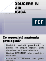 Introducere În Anatomia Patologică