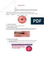 .-Qué Causa La Enfermedad: Papiloma de Útero