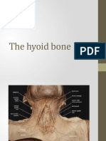 The Hyoid Bone
