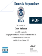 Grace Andleman Fema 1