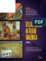 Gestão Pública Na Região Amazônica - Volume 3