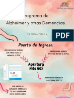 Programa de Alzheimer y Otras Demencias.: T.O Camila Yañez U