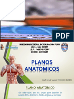 Anatomia Planos PS