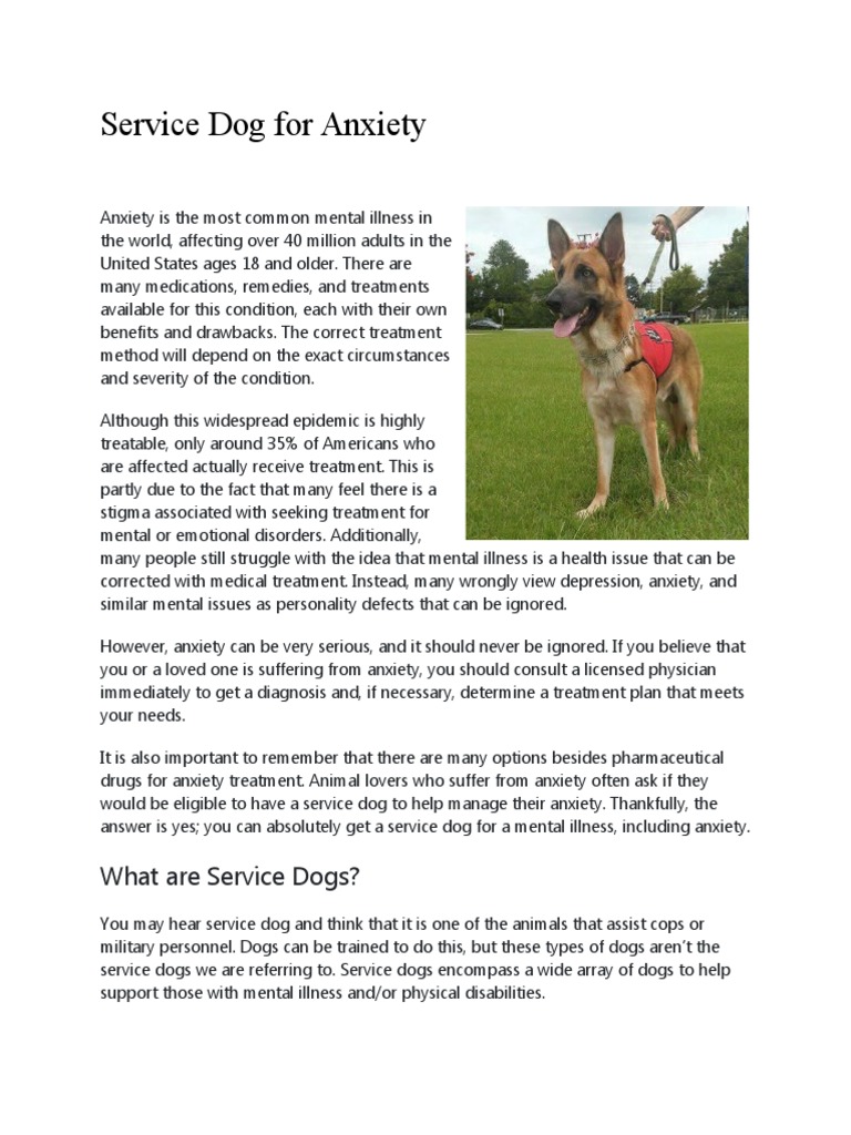 service-dog-for-anxiety-pdf-anxiety-disorder-mental-disorder