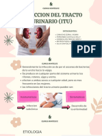 Infeccion Del Tracto Urinario (Itu) : Clinica Monteluz