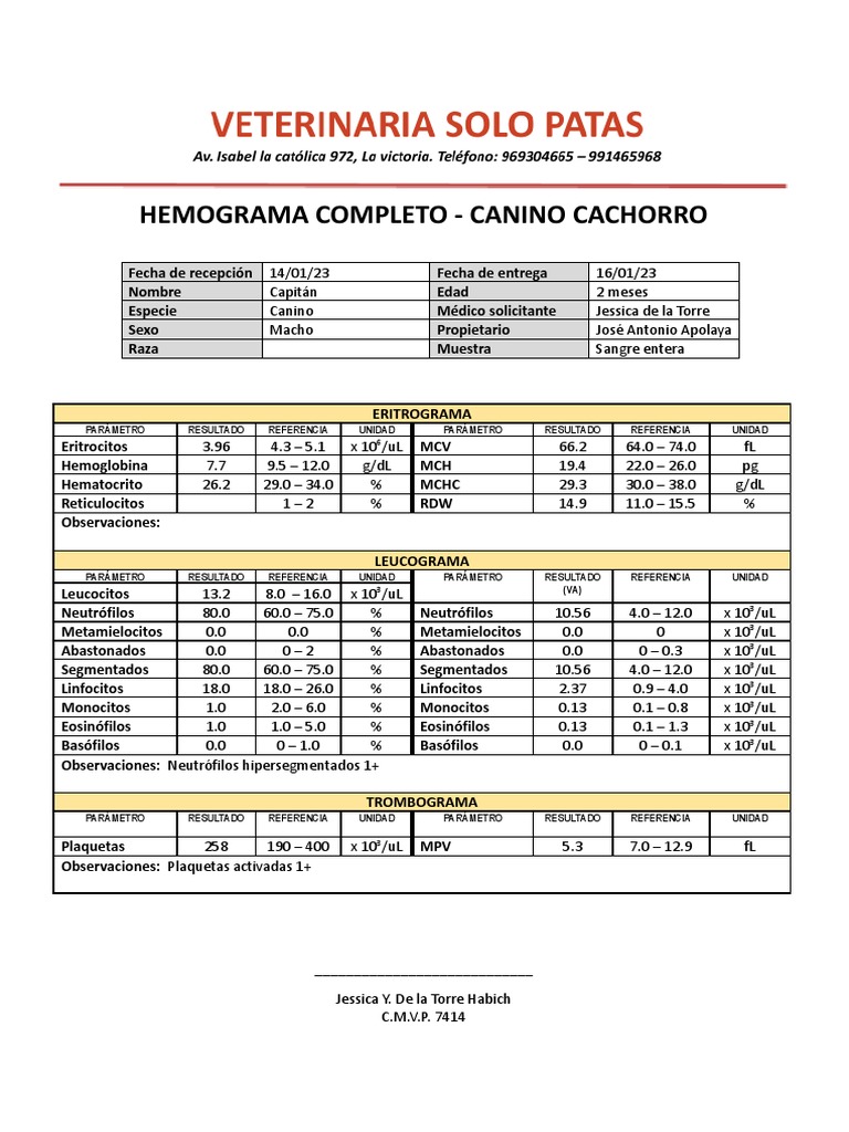 hemograma-completo-de-cachorro-canino-pdf-anatom-a-fluidos-corporales