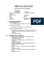 Curriculum Vitae Bruno Cunti