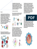 La Formación de Órganos Biológicos