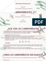 CARBOHIDRATOS