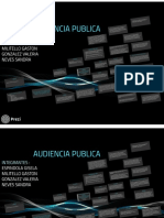 AUDIENCIA PUBLICA TP