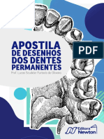 Apostila de Desenhos Dos Dentes Permanen