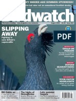 Slipping Away: Fighting To Save Britain's Capercaillie