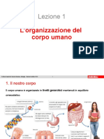 Lezione 1: L'organizzazione Del Corpo Umano