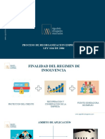 Proceso de Reorganizacion Empresarial