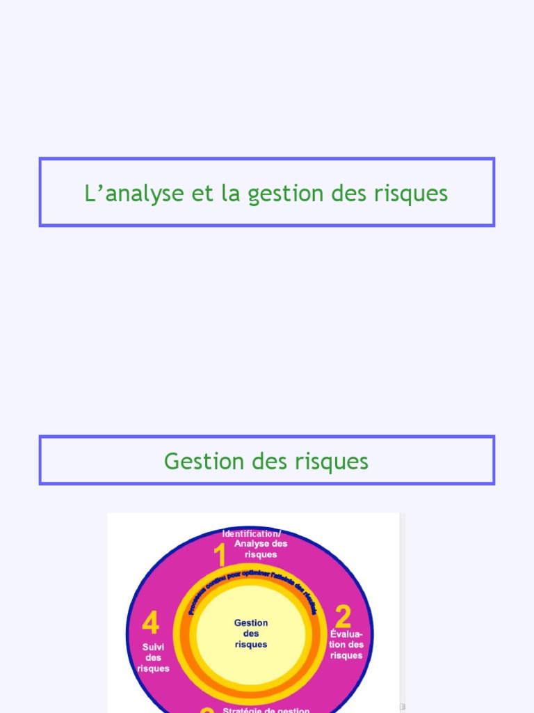Gestion et Analyse des Risques | PDF | Risque | Gestion des risques