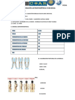 Ficha de Valoración Antropométrica Funcional