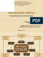 Organizador Gráfico: Necesidades de La Comunidad