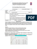 Guía de Trabajo N°16 Sexto