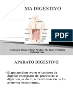 SISTEMA DIGESTIVO