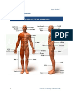 Ingles Medico I: Vocabulary of The Human Body