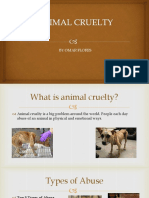 Animalcruelty 140227094744 Phpapp01
