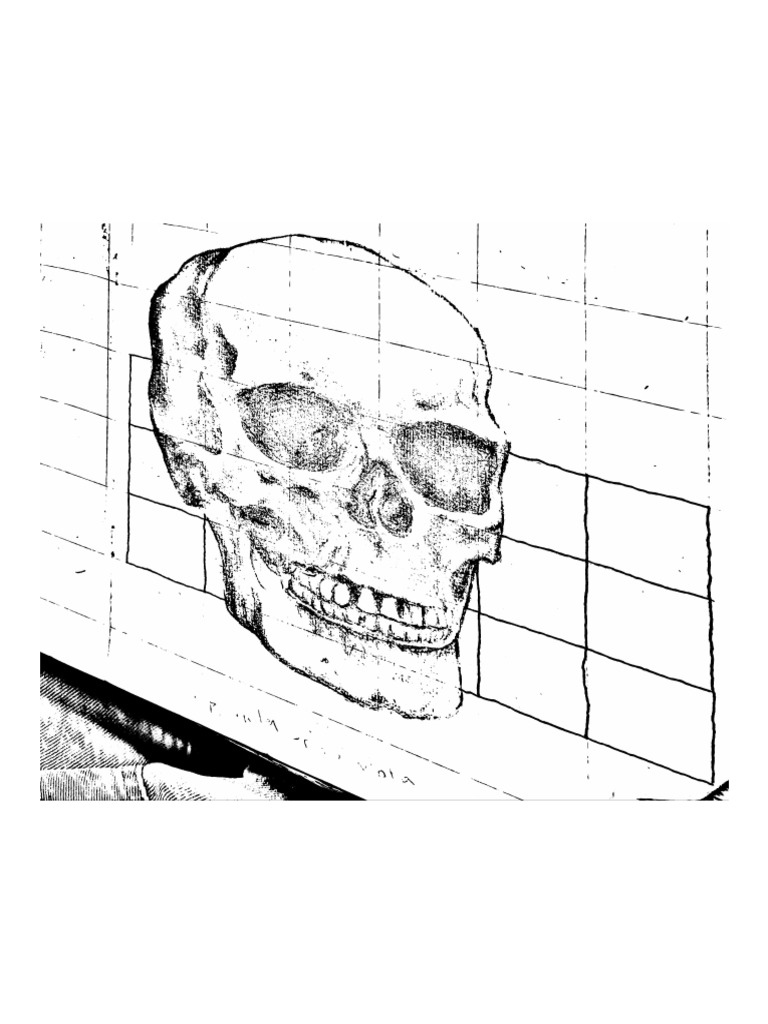 Scanned Documents | PDF