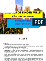 Finger-Millet Diseases