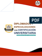 Diplomados: Universitaria