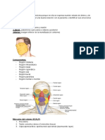 Copia de Transcripción Clase 9 CARA