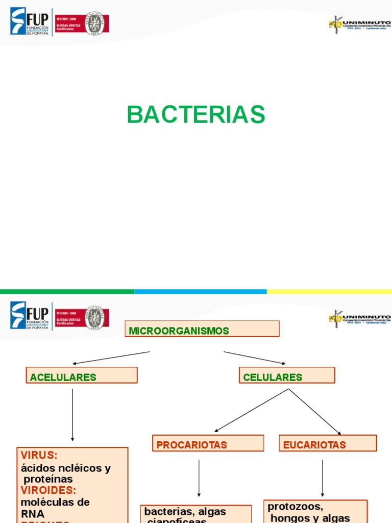 Bacterias Microbiologia | PDF | Las bacterias | Adn