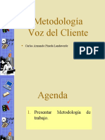 Metodología Voz Del Cliente: Carlos Armando Pineda Landaverde