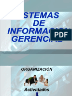 Sistema de Informacion Gerencial Generalidades