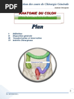 Anatomie chirurgicale du colon humain | PDF | Gros intestin | Anatomie