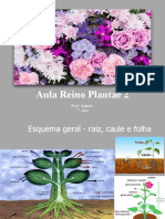 Aula Reino Plantae 2 Folha e Flor 2021