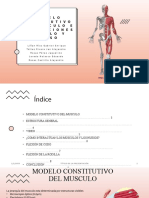 Modelo Constitutivo Del Musculo e Interacciones Musculo