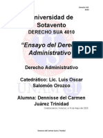 Ensayo Final - Derecho Administrativo