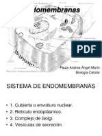 Endomembranas: Paula Andrea Ángel Marín Biología Celular